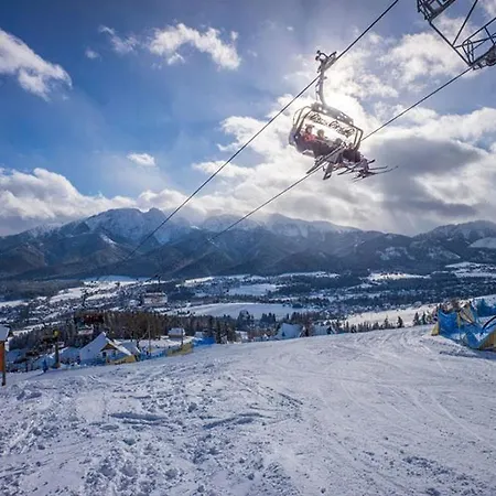 公寓 Visitzakopane - My Deer